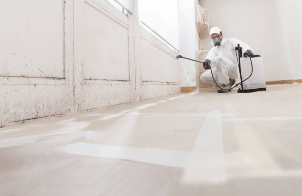 24/7 Emergency Attic Mold Removal experts in North Port, FL